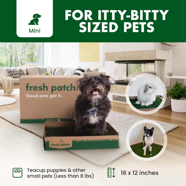 Fresh Patch Real Grass Dog Potty Training Pad Indoor-3