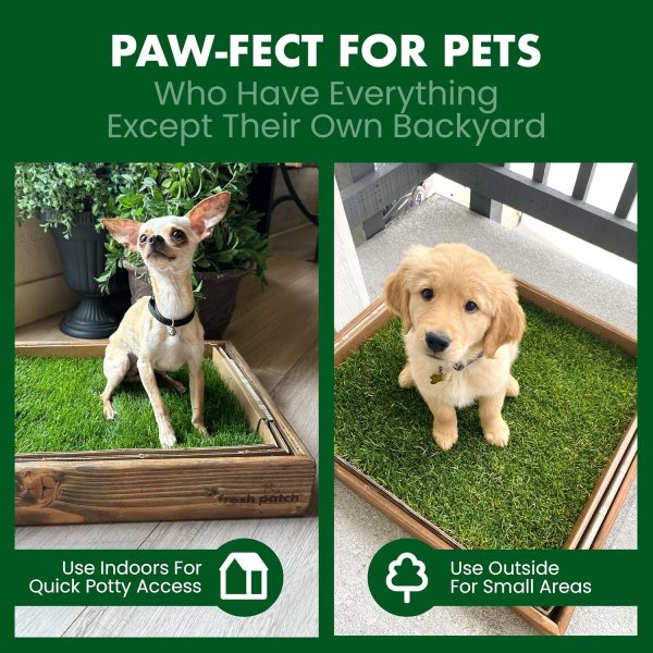 Fresh Patch Real Grass Dog Potty Training Pad Indoor-2