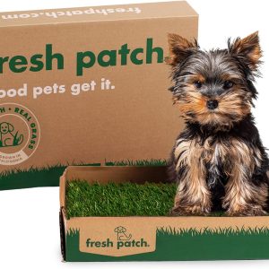 Fresh Patch Real Grass Dog Potty Training Pad Indoor-0