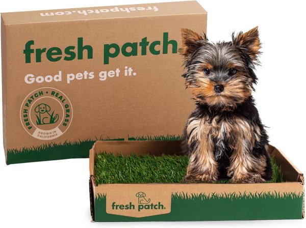Fresh Patch Real Grass Dog Potty Training Pad Indoor-0