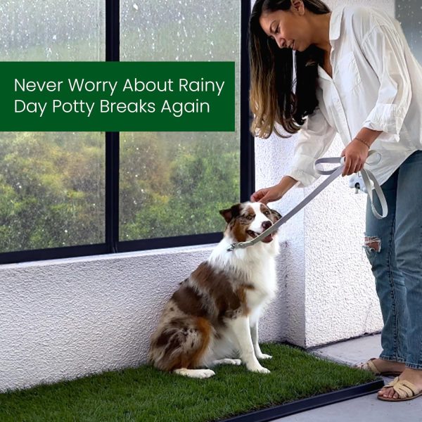 Fresh Patch Real Grass Dog Potty Training Pad Indoor-7