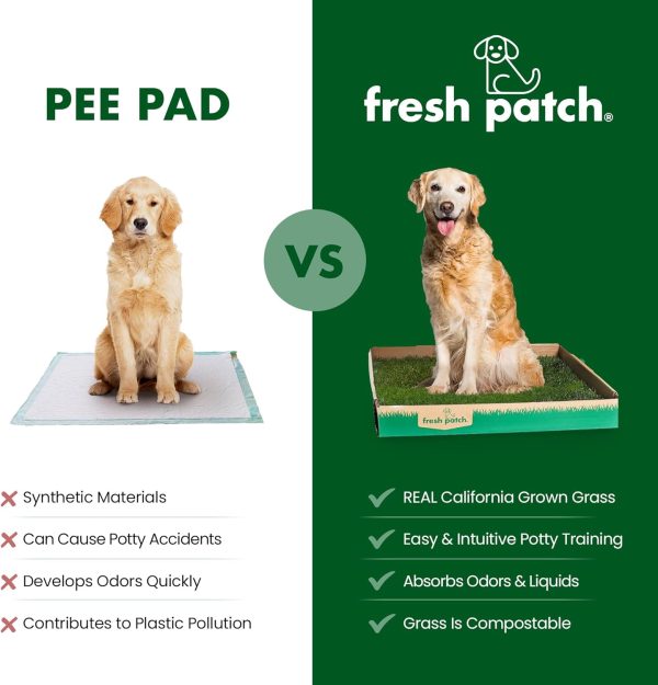 Fresh Patch Real Grass Dog Potty Training Pad Indoor-4