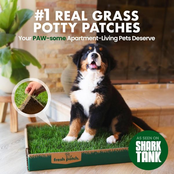 Fresh Patch Real Grass Dog Potty Training Pad Indoor-1